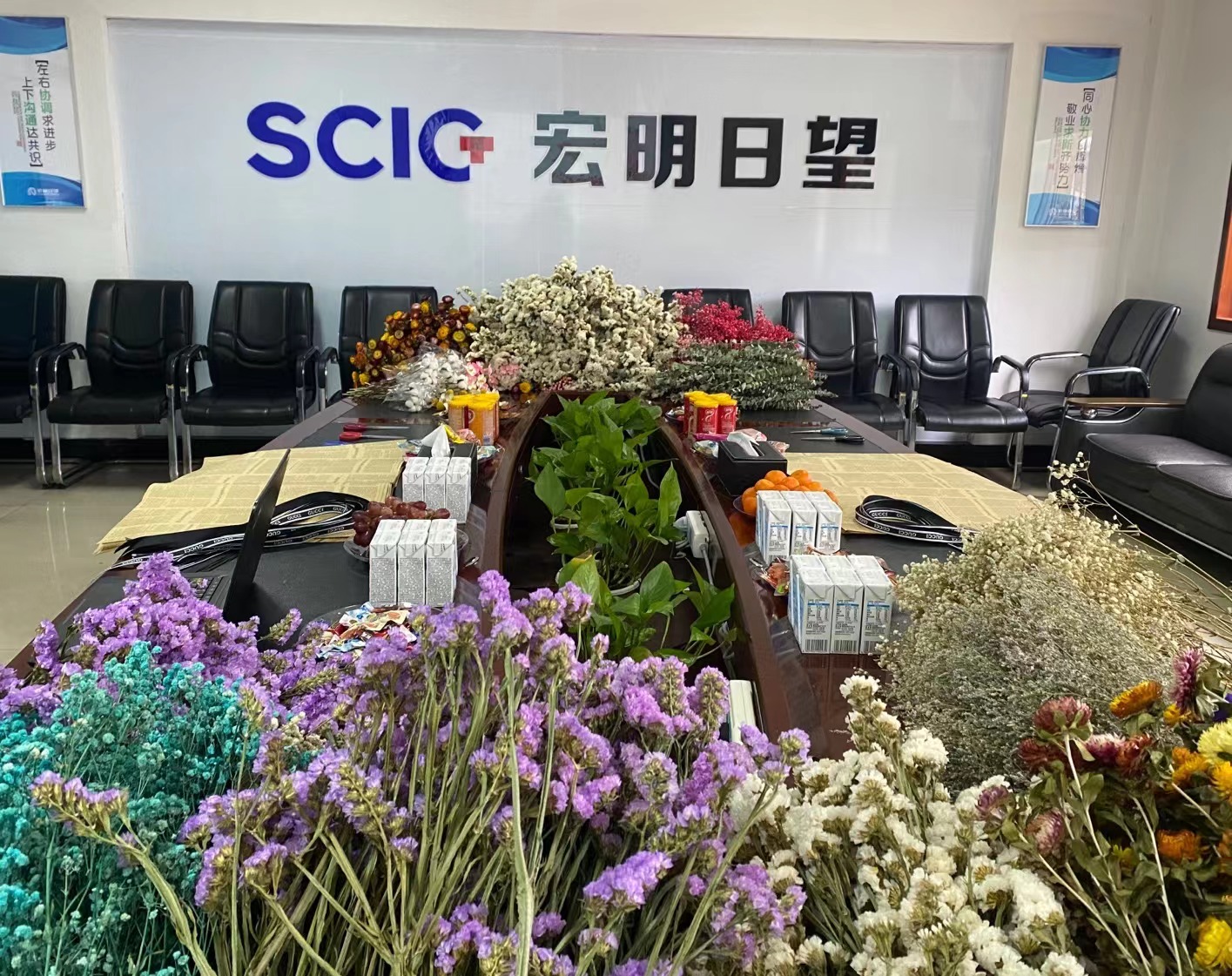 宝威（中国）一站式服务平台,宏明日望,株洲电子科技,湖南电容器,株洲电容器,电容器